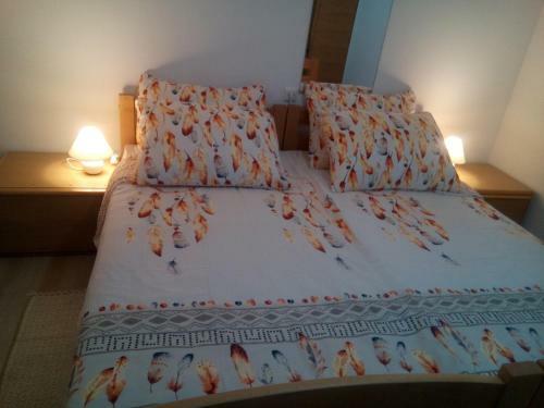 Hostal Sobe ?ok?i?