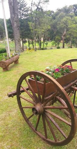 Magia Das Hort�nsias