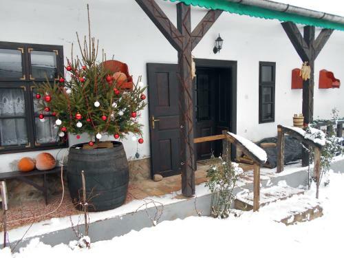 Hostal Guest House Stara Baranja