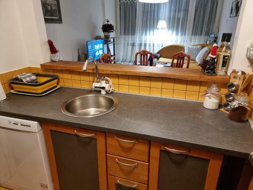 Skitnica 6 Apartman