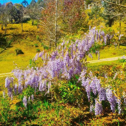 Albergue Col�nia Saa - Shangril�