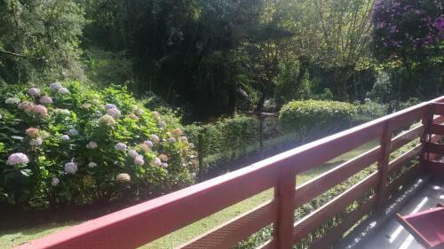 Apartamento No Morro Do Elefante Campos Do Jord�o