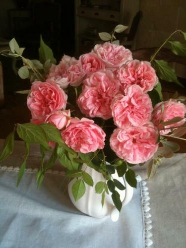 B&b-chambre D'h�tes La Closerie Saint Vincent