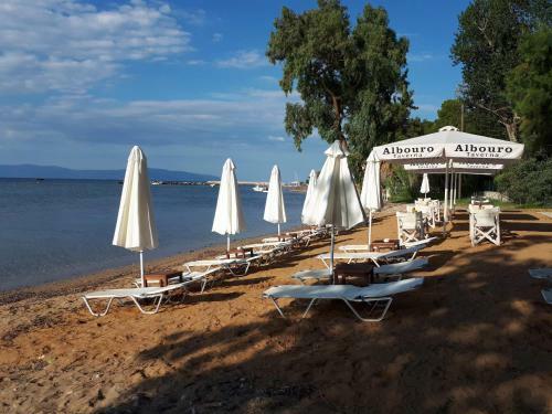 Albouro Sea Front Apartments