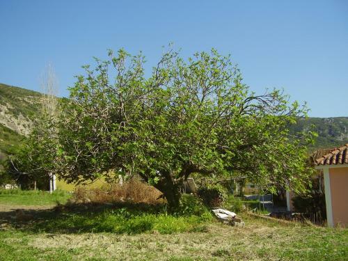 Apartamento Pantelios Village