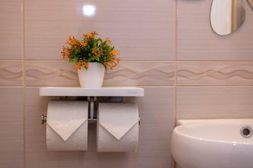 Villa Alinica Dvori / Pool / Serenity / Brand New