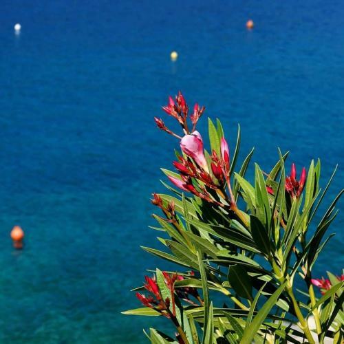 Apartamento Ariademar