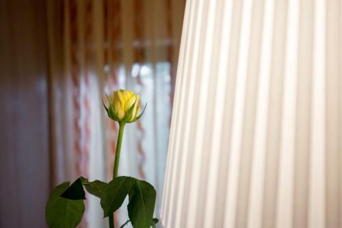 Apartamento Korina