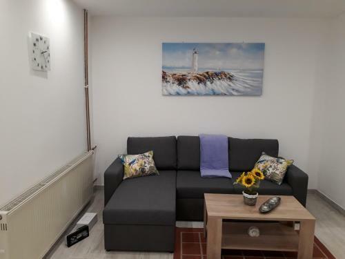 Apartments Roko
