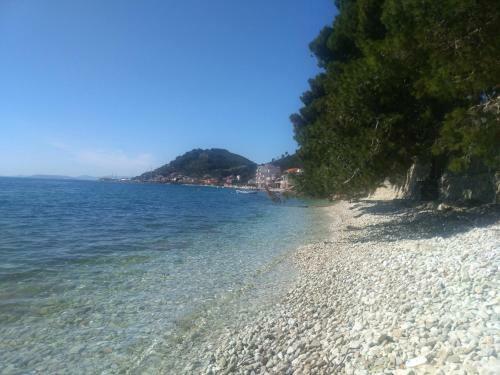 Apartments Toma Bajnice Directly