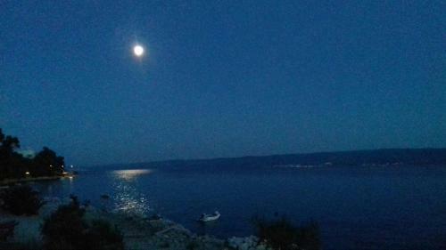 Apartments Toma Bajnice Directly
