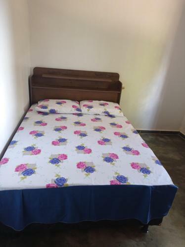 Bem-te-vi Casatemporada