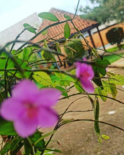 Rustic House Chapada Dos Guimar�es