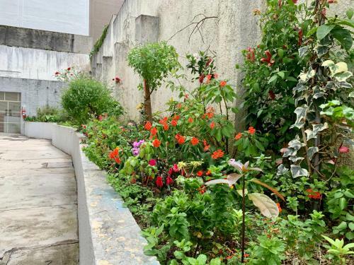 101-apartamento Encantador, 2 Quartos. Bigorrilho