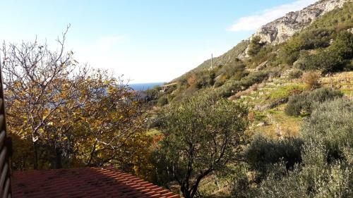 Hostal Apartments Bako Komiza