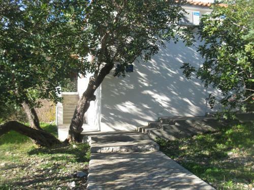 Hostal Apartments Bako Komiza