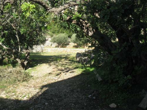 Hostal Apartments Bako Komiza
