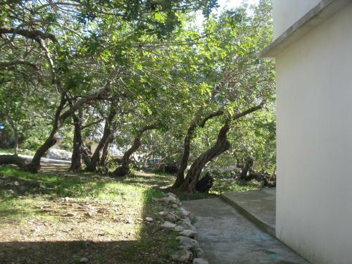 Hostal Apartments Bako Komiza