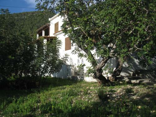 Hostal Apartments Bako Komiza