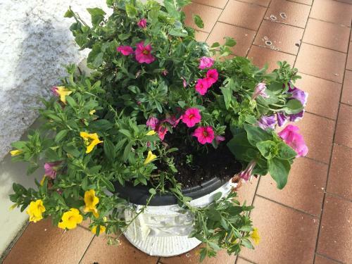 Apartamento Ard Cashel, Barrack Brae