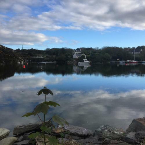Goleen Harbour Tiny House
