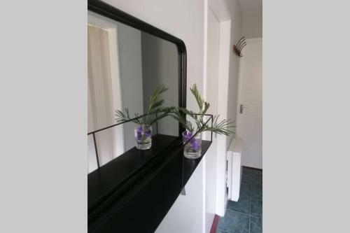 Harbourside House, Beara Way, Wild Atlantic Way