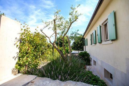 Villa Holiday Home Mikula