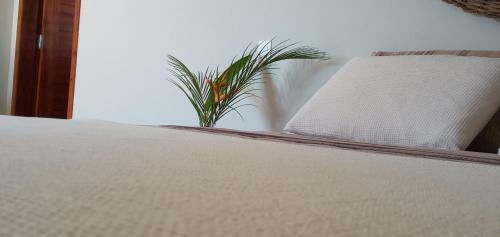 Bed & Breakfast Dolce Vita Guest House