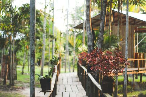 Hotel Caboclos House Eco-lodge