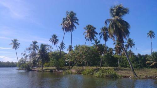 Barra Nova, Marechal Deodoro, Para�so Das Alagoas
