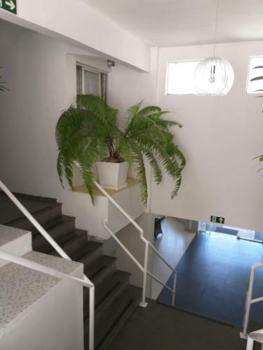 Apartamento Condom�nio Agrad�vel Com Piscina