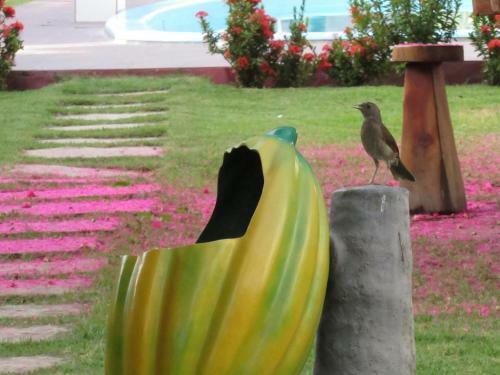 Hotel Chal� Sol Da Barra