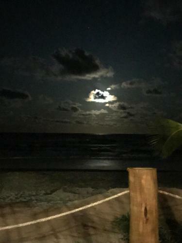 Hotel Vivant Eco Beach Resort