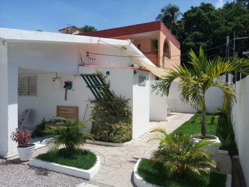 Hostal House Jardim Tropical
