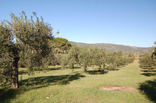 Apartamento Appartamenti Torre Di Chia