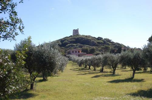 Apartamento Appartamenti Torre Di Chia