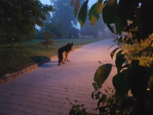 Bed & Breakfast Dw�r Na Wichrowym Wzg�rzu