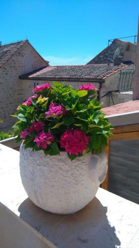 Apartamentos Old Town Hvar