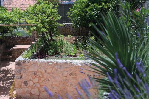 Hostal Tanya-apartments And Rooms