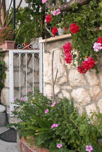 Apartments With Wifi Hvar - 5690