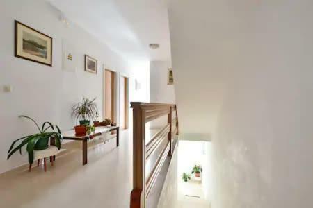 Hostal Apartmani I Sobe Novak