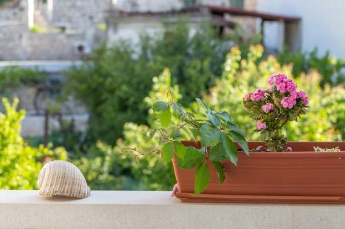 Apartamento Historic Center Hvar Town- A Few Steps From The Main Square