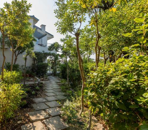 Apartamento Shades Of Green