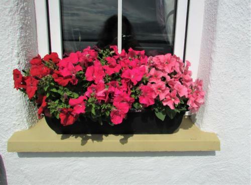 Breacan Cottage B&B