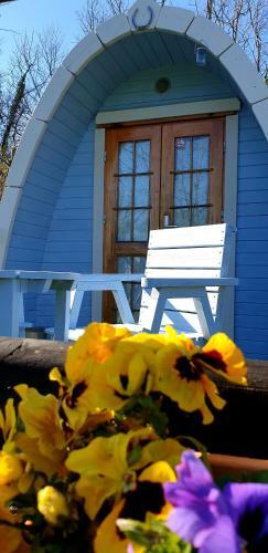 Glamping At Treegrove