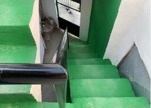 Villa Hospedagem Rei Da Lu.