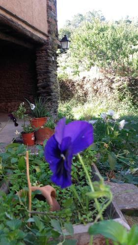 Apartamento Los Balcones Del R�o