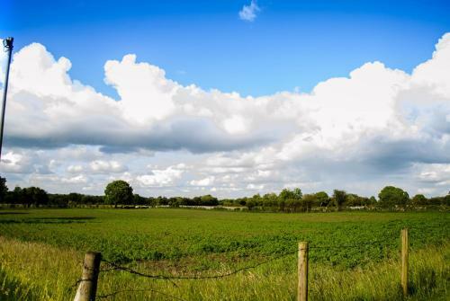 Apartamento Corrib View Farmhouse
