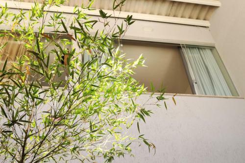 Bed & Breakfast Home Hostel - Quarto Privativo Aeroporto Bsb