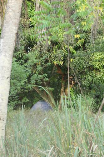 Terra Joulle Centre Lagoa Bomfim